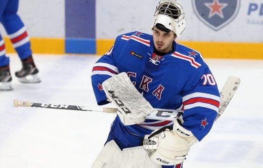 Дмитрий Николаев