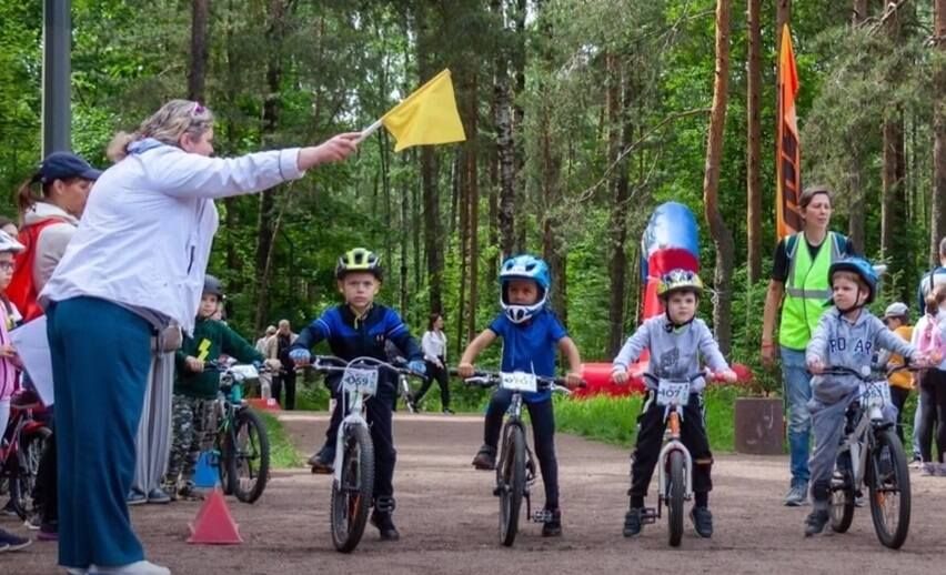 «Территория спорта. День за Днем». Парк Сосновка