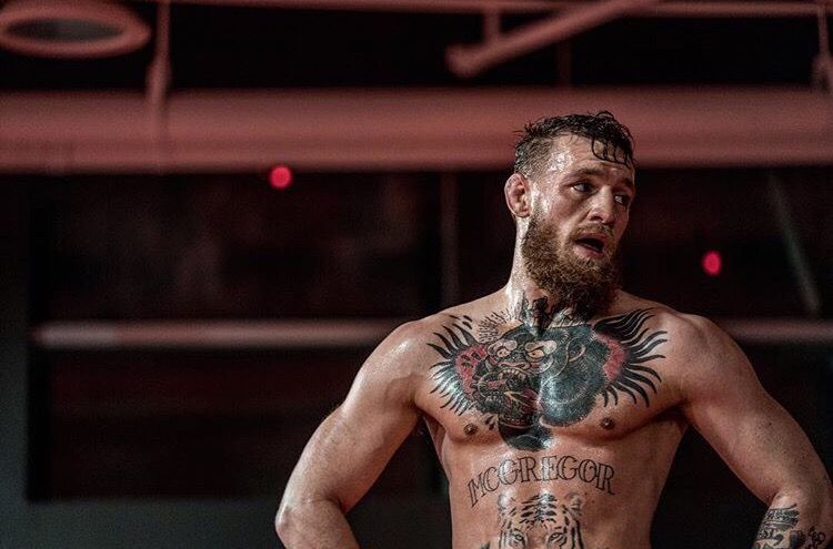 Глава UFC не дал Макгрегору бой в декабре, ирландец будет отдыхать до 2020 года