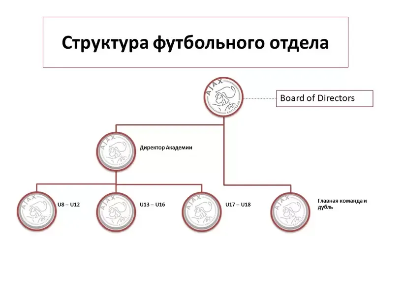 Структура академии «Аякс»