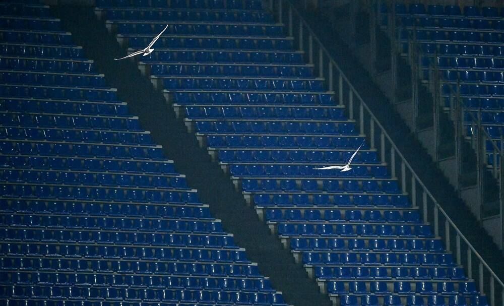 Стадионы опустели, а чемпион мира был в гневе. Как Fan ID приняли в Европе