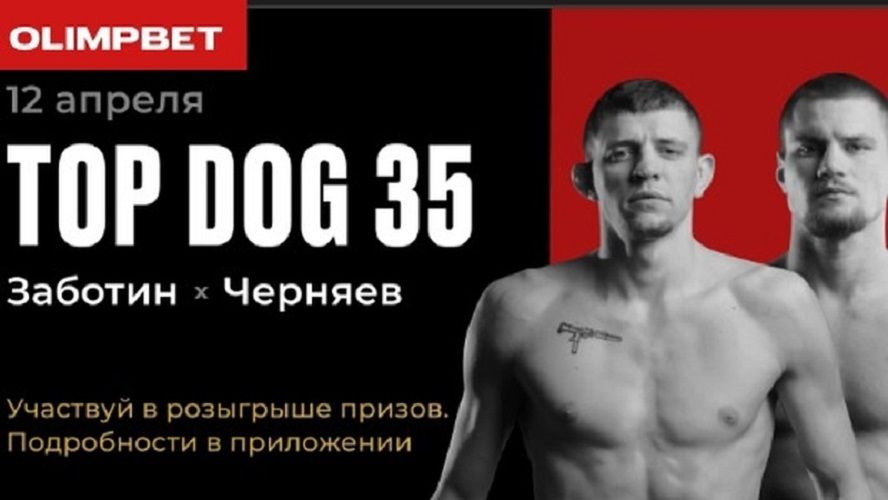 OLIMPBET анонсирует стадионный турнир TOP DOG 35 в Тольятти 