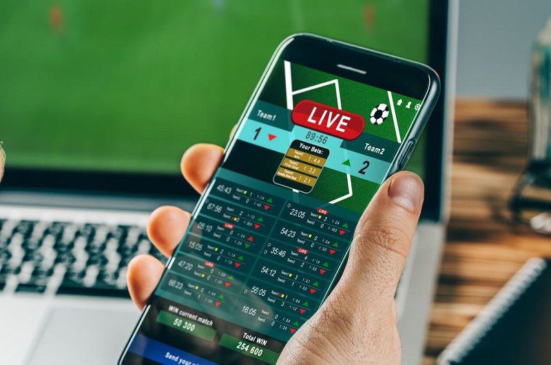 Ставки на спорт: успех будет зависеть от контроля эмоций