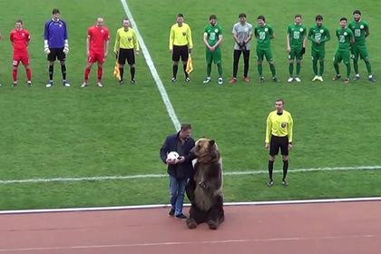 Медведь открыл матч ПФЛ в Пятигорске (ВИДЕО)