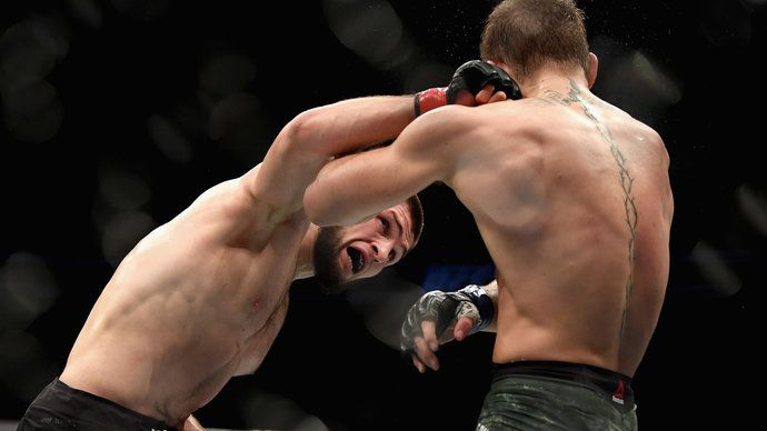 Хабиб задушил Конора в Турции. Как художник увековечил бой века