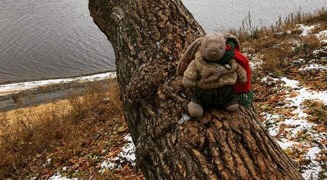 За что оправдывается Геркус после ухода из «Локомотива»