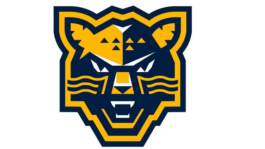 Минское «Динамо» не смогло вылететь в Сочи для проведения матча КХЛ