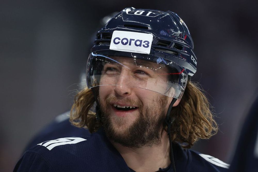 Плющев предположил, почему Лайпсик захотел получить российское гражданство Плющев предположил, почему Лайпсик захотел получить российское гражданство