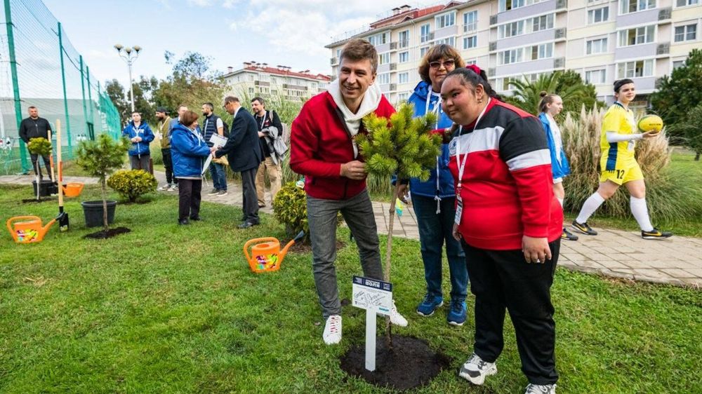 Звезды спорта и участники турнира «Стальная воля» высадили сосновую аллею в Сочи Звезды спорта и участники турнира «Стальная воля» высадили сосновую аллею в Сочи
