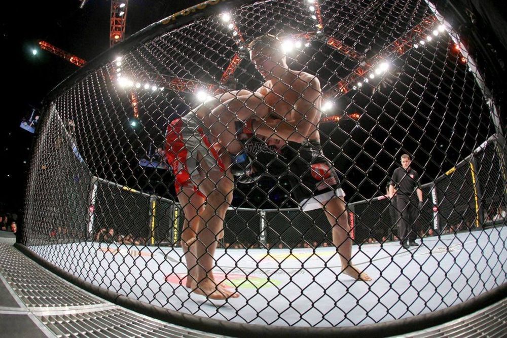 Младший брат Федора и Александра Емельяненко дебютирует в MMA