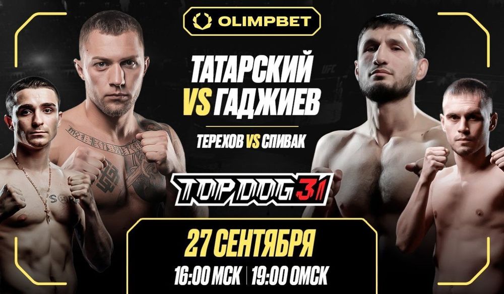 OLIMPBET представляет стадионный TOP DOG 31 