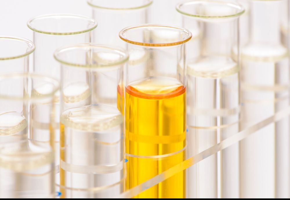 Журова оценила заявления норвежцев о допинг-контроле в России