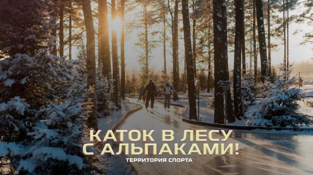 «Территория спорта. День за днем. Ревизоры на коньках». Охта-Парк с альпаками