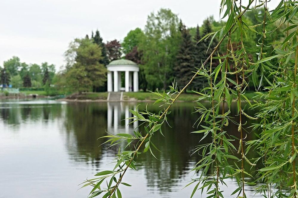 Остров «Зенита»