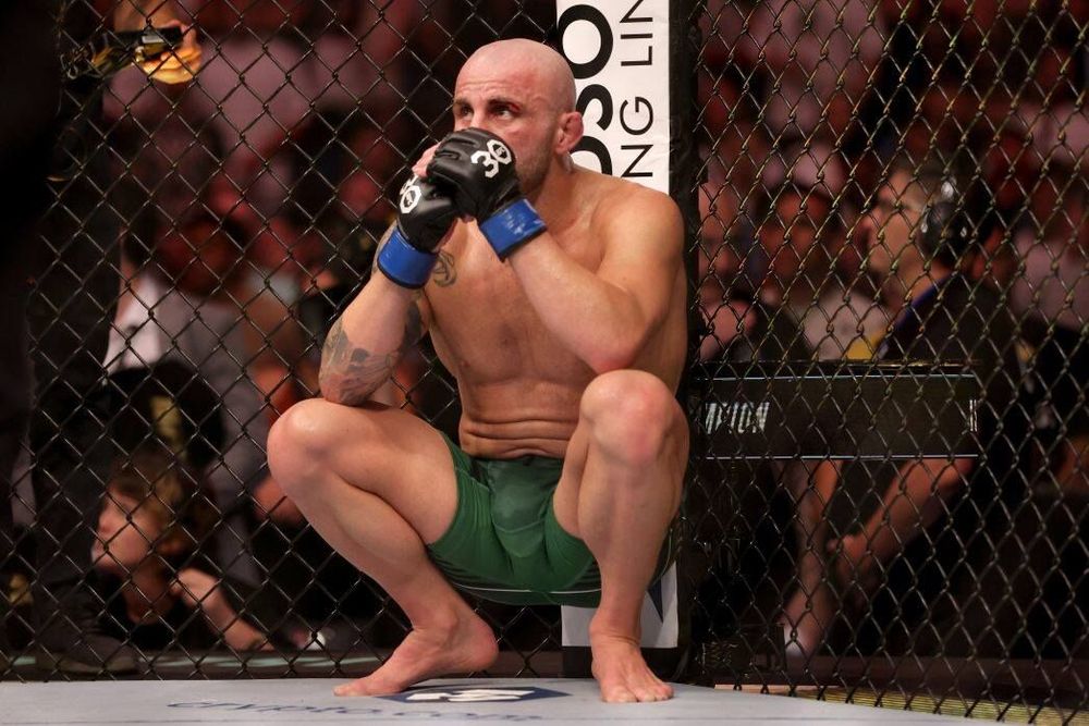 Менеджер Махачева резко отреагировал на обвинения Волкановски о нарушениях правил Менеджер Махачева резко отреагировал на обвинения Волкановски о нарушениях правил