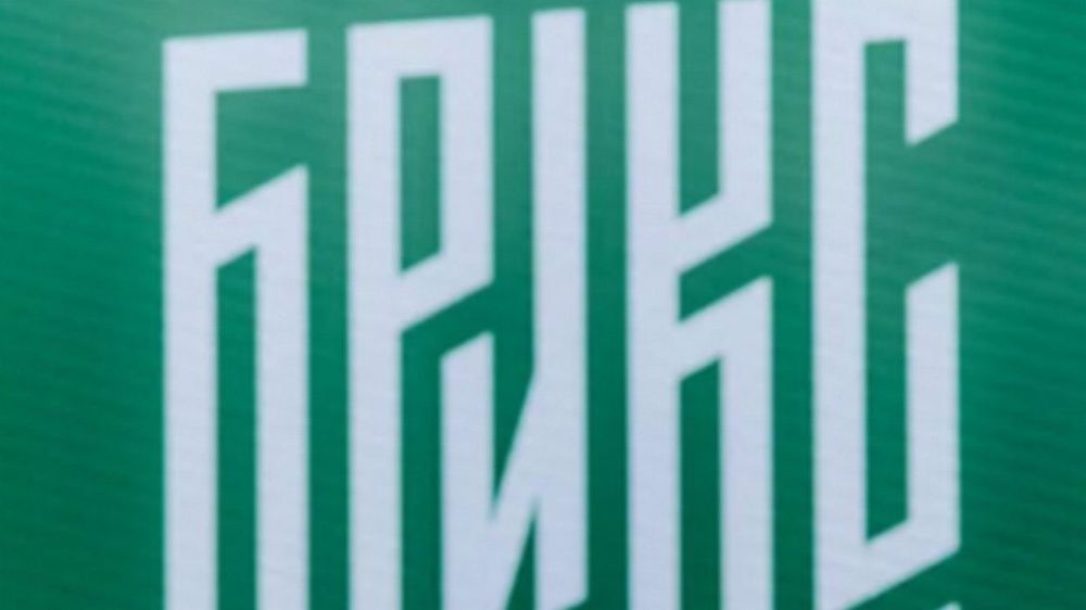 Самбист Князьков отреагировал на слова Иваницкого о хорошей паре для спортсмена