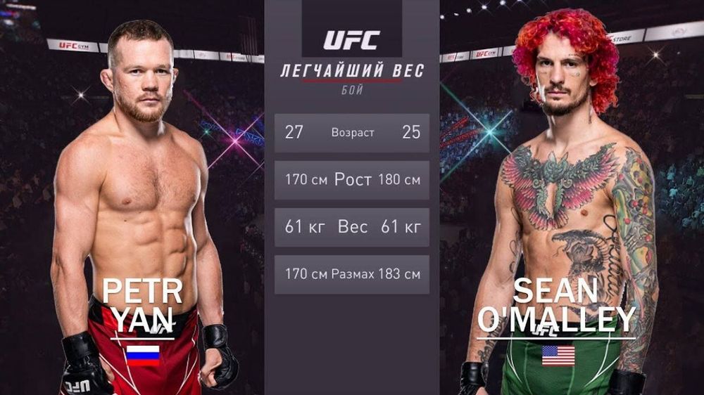 Василевский заявил, что Петр Ян был не выгоден UFC