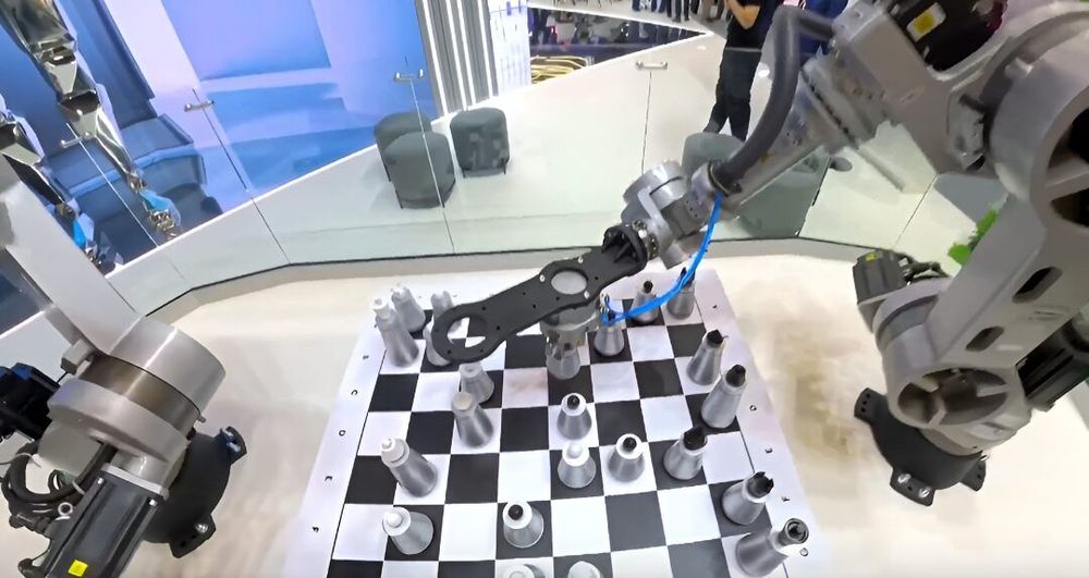 ПМЭФ и новые спортплощадки Петербурга. Как форум открывает новые территории