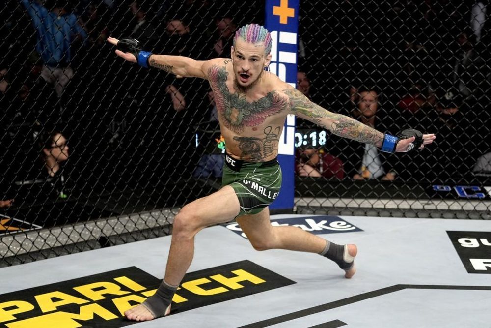 Рой Джонс назвал О'Мэлли лучшим ударником в MMA