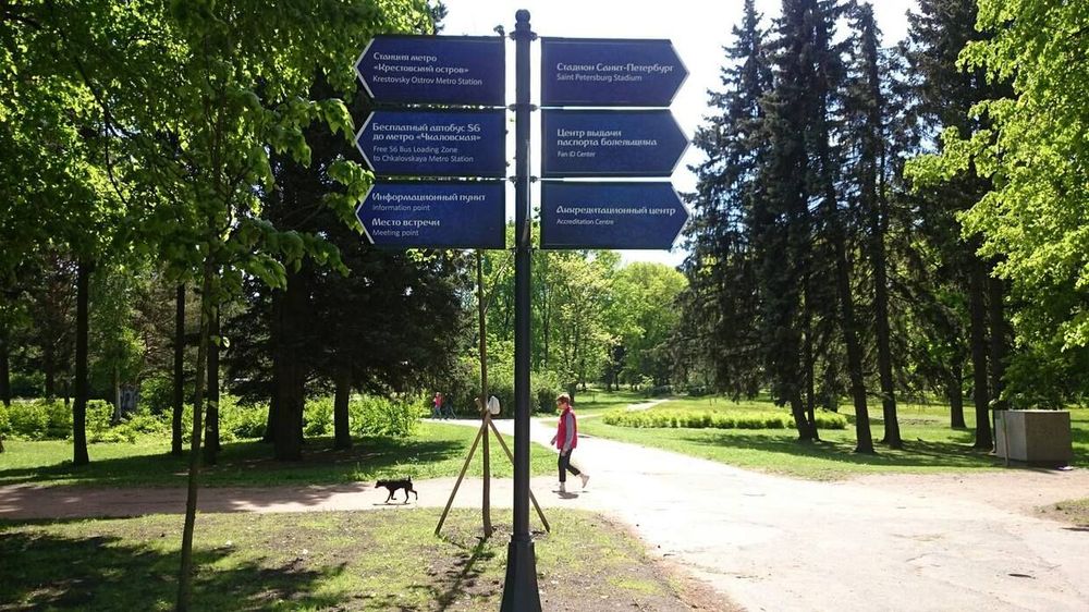 До стадиона по парку — прогулка в удовольствие