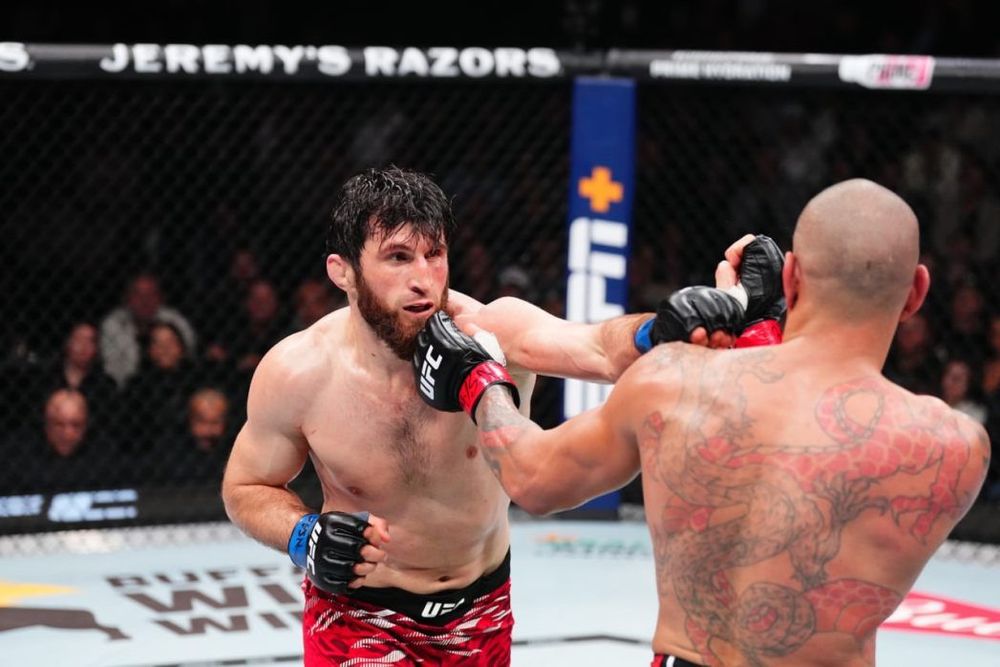 Перейра заявил, что Анкалаев не нанес ему ущерба в бою на UFC 313