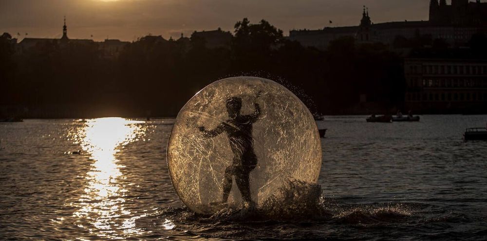 Таких берут в зорбонавты!