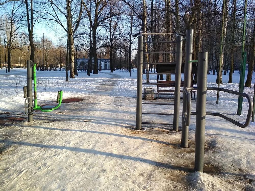 Воркаут под цветущим каштаном