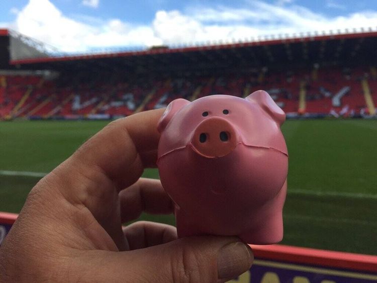 Год Свиньи начался! Вот доказательство того, что животные тоже любят футбол