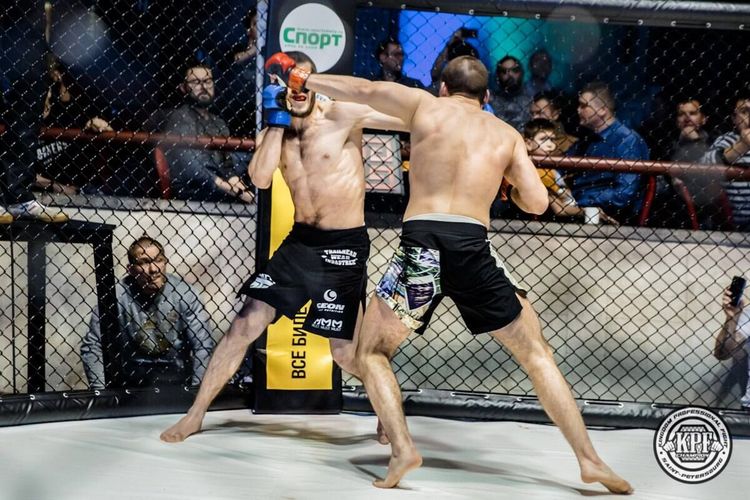 Президент Kingdom professional   Fight Алексей Раевский: Лига нашла своего зрителя