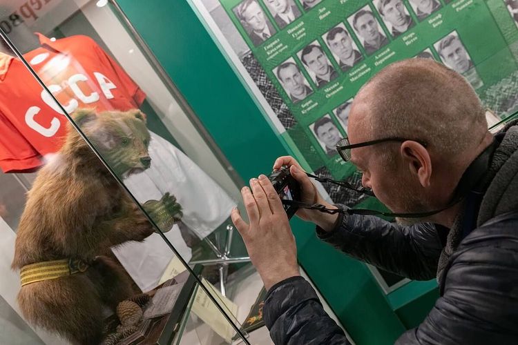 Кот с усами Черчесова, велосипед королевы и «Золотой мяч» Яшина