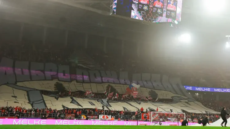 Жуков: «Возвращение продажи пива на стадионах — нормальная практика»