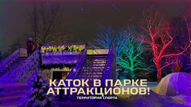 «Территория спорта. День за днем. Ревизоры на коньках». Каток в Гагарин Парке