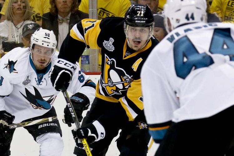 Холодные «Пингвины», голодные «Акулы»