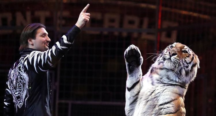 Эдгард Запашный: Главного дрессировщика выбираем раз в шесть лет