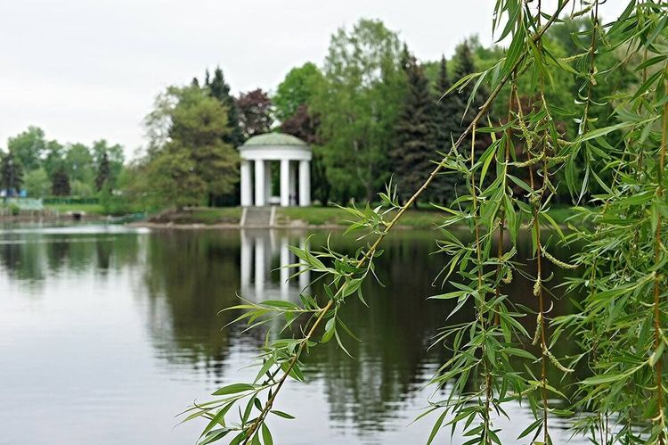 Остров «Зенита»