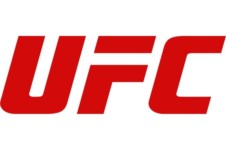 Пятеро россиян выступят на турнире UFC в Абу-Даби