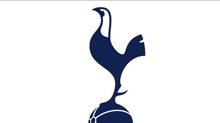 Павлюченко: Хочу посетить базу «Тоттенхэма»