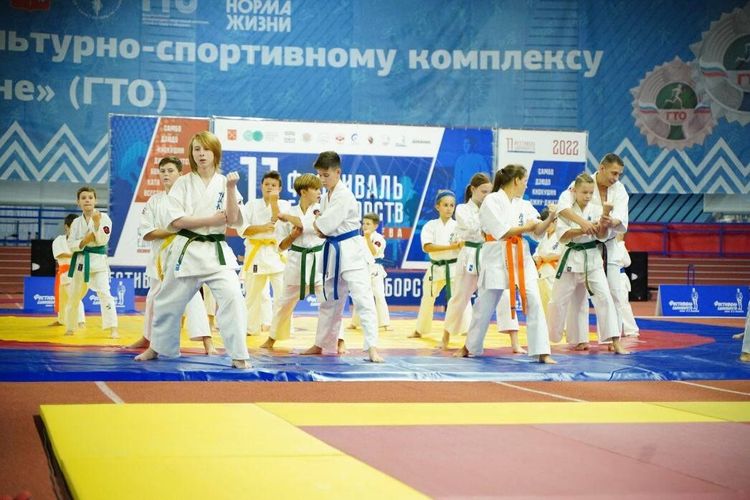 «Территория спорта. День за Днем». Фестиваль имени В.А. Соловьёва