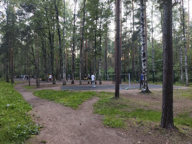 «Территория Спорта День за Днем»: бадминтон в Сосновке – это бесплатно и атмосферно!