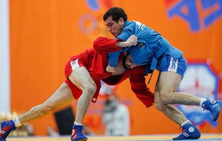 Президент ВФС Сергей Елисеев о первом российском виде на Олимпиаде, работе с WADA и пляжном самбо