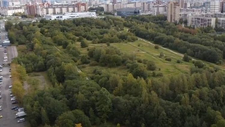 «Территория спорта. День за Днем». Яблоновский сад