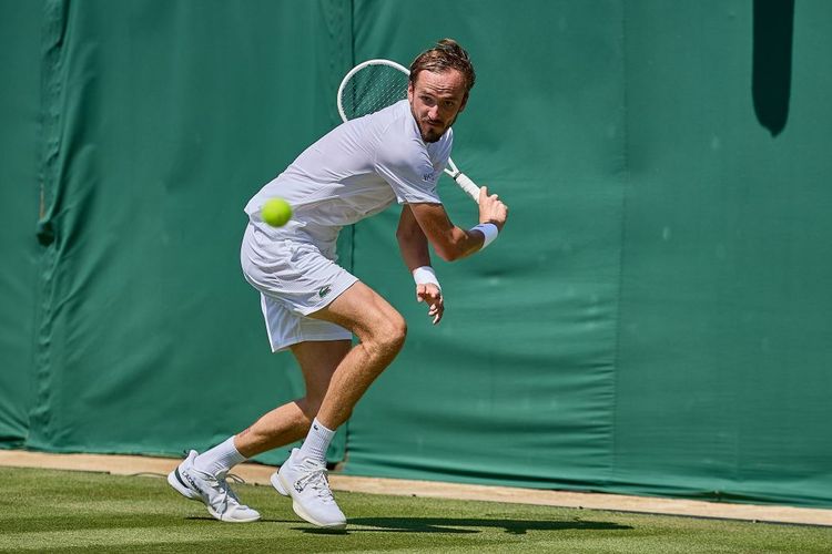 Камельзон считает, что у Медведева спад в карьере