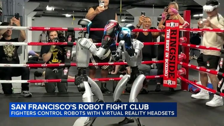 Бои роботов.jpg