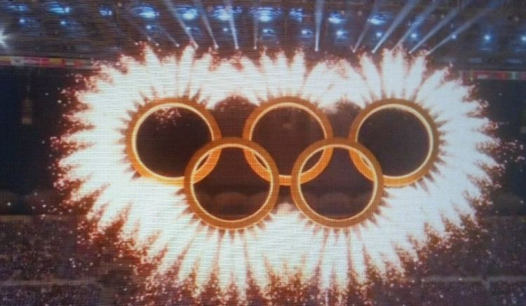 Депутат Терюшков: Следить за присутствием нейтральных спортсменов на Олимпиаде-2026 нет никакого резона