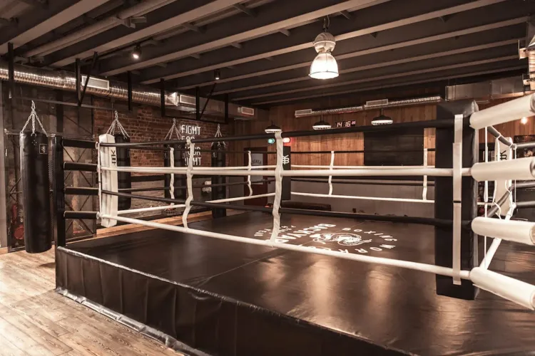 От йоги до бокса: спортивные активности для молодежи в центре Петербурга