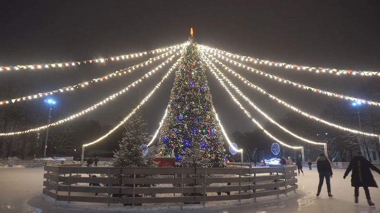 Каток на Елагином острове.jpg