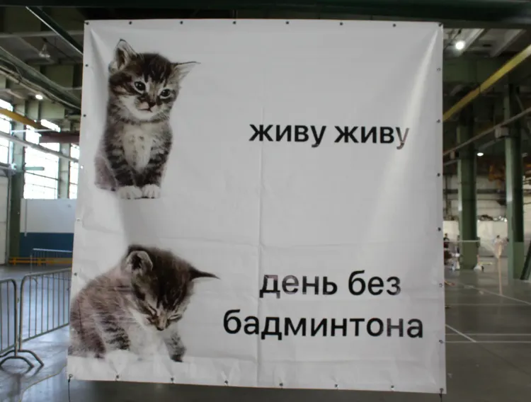Мем.webp