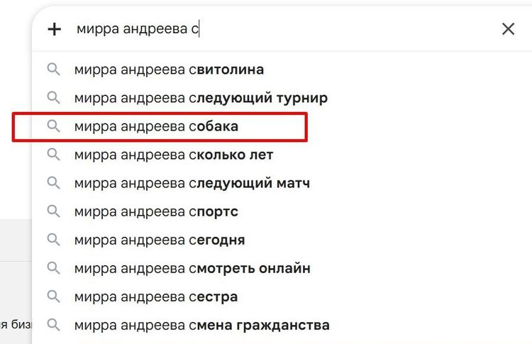 Пример поискового запроса о Мирре Андреевой