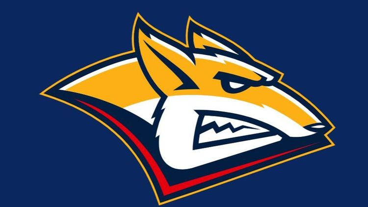 Практически весь основной состав «Металлурга» не поехал на матчи КХЛ с «Трактором» и «Локомотивом»