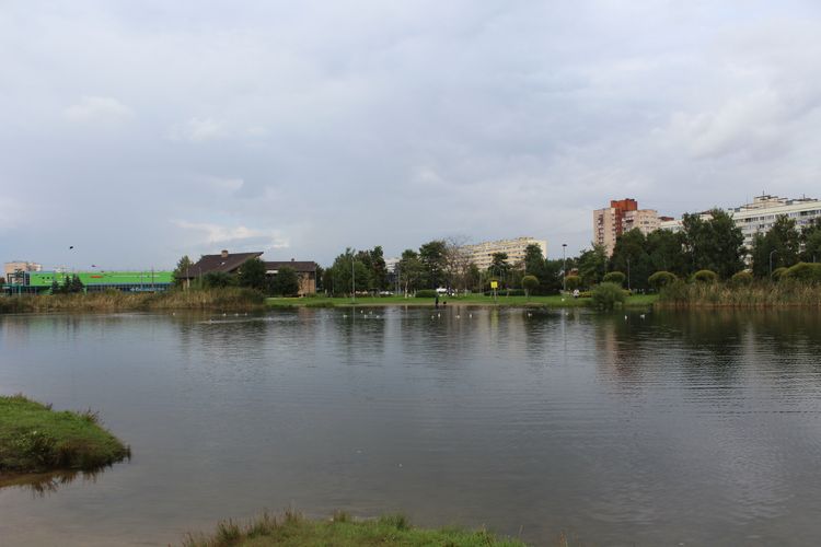 Старое русло.JPG